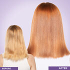 CHI Ionic Permanent Cream Hair Color, , large image number null